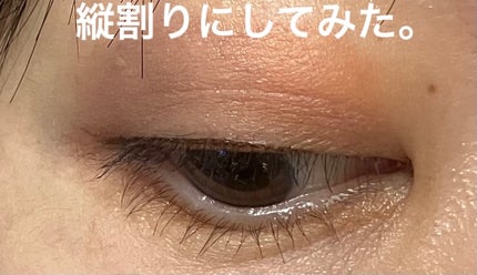 アイカラーレーション スペシャルエディション/LUNASOL/アイシャドウパレットを使ったクチコミ(1枚目)