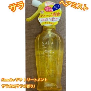 SALA トリートメント サラ水N(サラの香り)のクチコミ「Kanebo サラ トリートメント サラ水N(サラの香り)

〈説明〉
・ヘアミスト
・780.....」（1枚目）