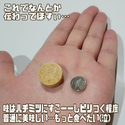 マヌカハニーロゼンジ/生活の木/食品を使ったクチコミ(3枚目)