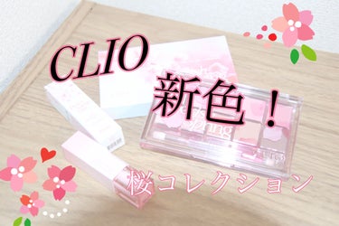 プロ アイ パレット/CLIO/アイシャドウパレットを使ったクチコミ（1枚目）