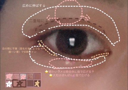 ダブルエンドアイブロウブラシ スマッジタイプ/ロージーローザ/メイクブラシを使ったクチコミ(2枚目)