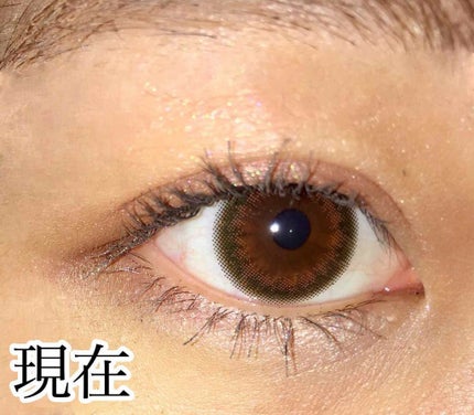 アイラッシュフィクサーEX 552/D-UP/つけまつげを使ったクチコミ(2枚目)