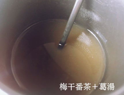 有機梅干番茶/ムソー/ドリンクを使ったクチコミ(3枚目)