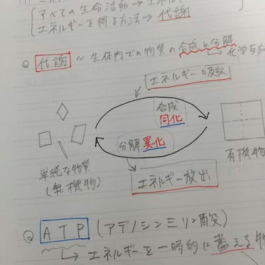 その他/その他洗顔料を使ったクチコミ（2枚目）