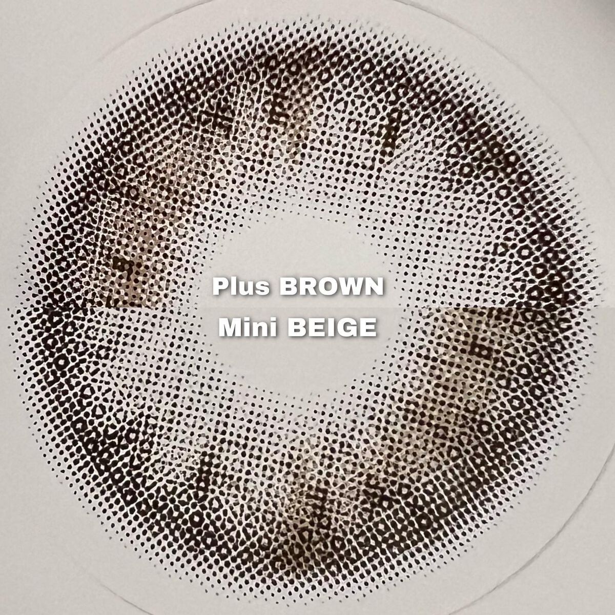 One & Only Kristin/Hapa kristin/カラーコンタクトレンズを使ったクチコミ(3枚目)