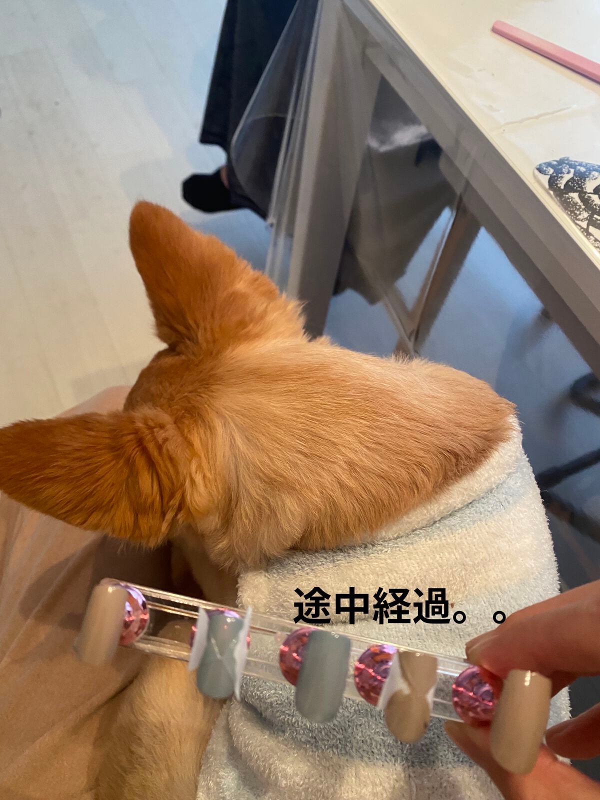 カラフルネイルズ/キャンメイク/マニキュアを使ったクチコミ(6枚目)