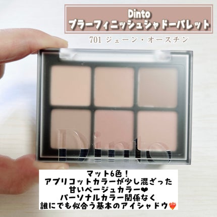 ブラーフィニシュシャドウパレット/Dinto/アイシャドウパレットを使ったクチコミ(6枚目)