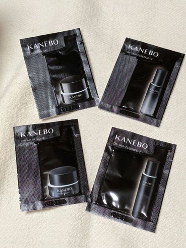 カネボウ オン スキン エッセンス F/KANEBO/化粧水を使ったクチコミ（2枚目）