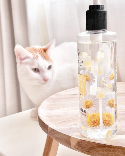 ファンタジージェルローション カモミール/Leivy/香水(その他)の画像