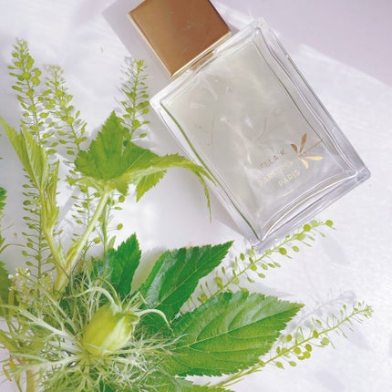 カオソックの朝霧(タイ) /ELLA K/香水(レディース)を使ったクチコミ(1枚目)