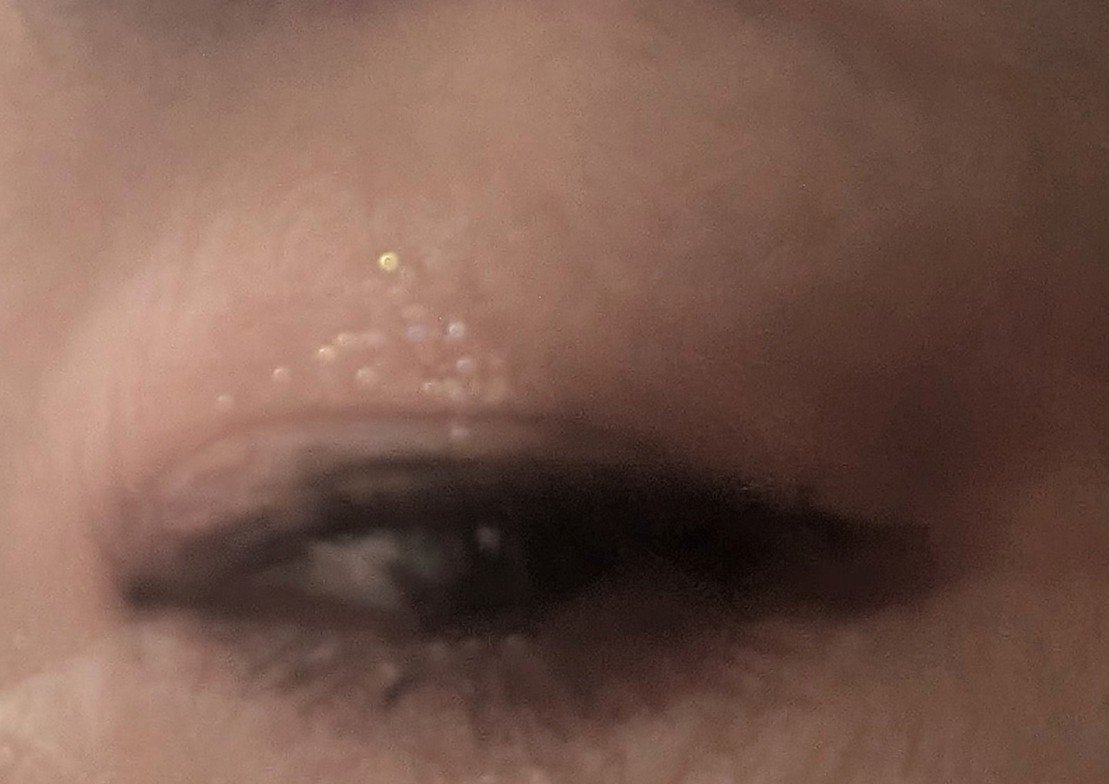 ラッシュエキスパンダー ロングロングロング/MAJOLICA MAJORCA/マスカラを使ったクチコミ（2枚目）