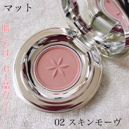 AQ アイシャドウ/DECORTÉ/単色アイシャドウを使ったクチコミ(2枚目)