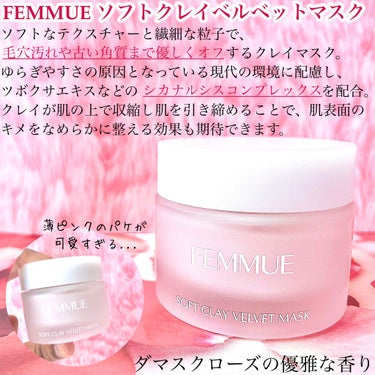 ソフトクレイ ベルベットマスク/FEMMUE/洗い流すパック・マスクを使ったクチコミ（2枚目）