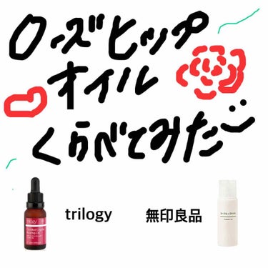 ローズヒップ オイル/trilogy/フェイスオイルを使ったクチコミ（1枚目）