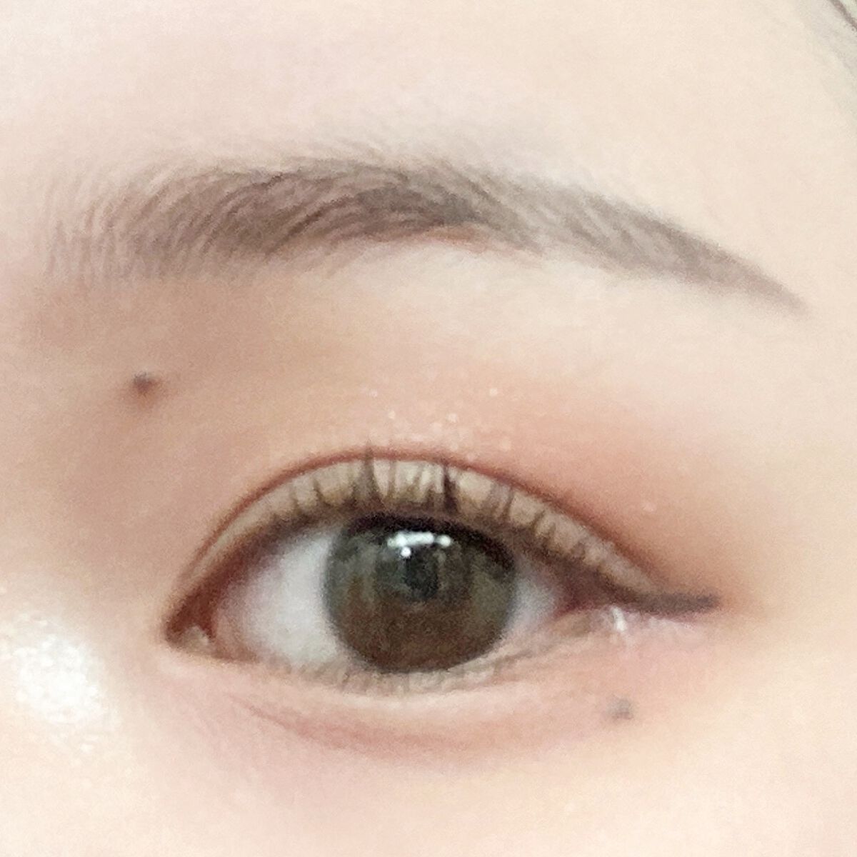 シャドーカスタマイズ/MAJOLICA MAJORCA/単色アイシャドウを使ったクチコミ（1枚目）