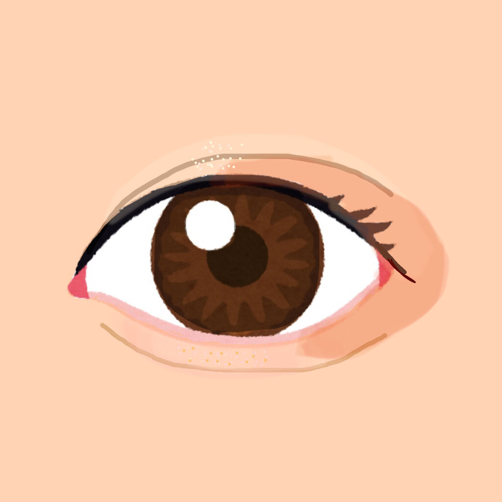 nuance eye blend/nuance eye blend/アイシャドウパレットを使ったクチコミ（2枚目）