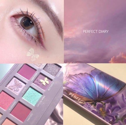 エクスプローラ12色 動物アイシャドウパレット バタフライ/PERFECT DIARY/アイシャドウパレットを使ったクチコミ(1枚目)