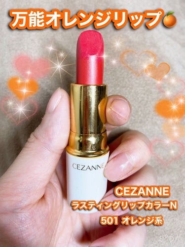 ラスティング リップカラーN/CEZANNE/口紅を使ったクチコミ（1枚目）