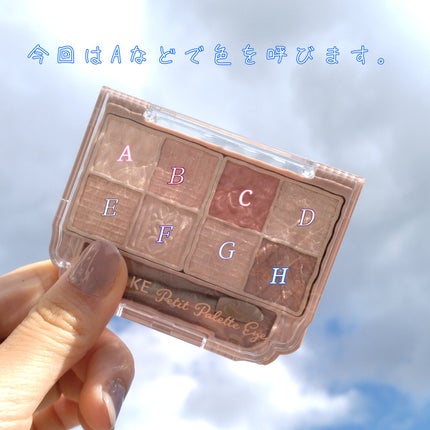 プティパレットアイズ/キャンメイク/パウダーアイシャドウを使ったクチコミ(3枚目)