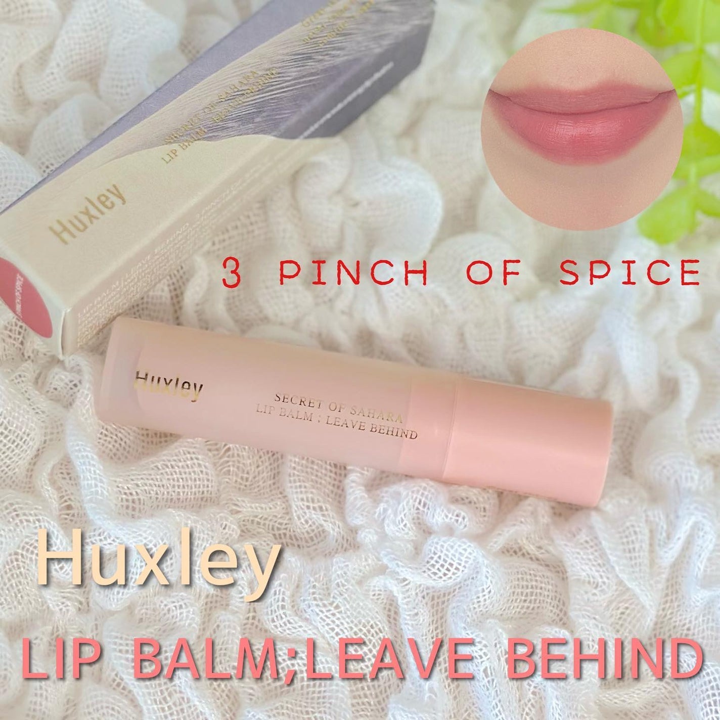 リップバーム;リーブビハインド/Huxley/リップバームを使ったクチコミ(1枚目)