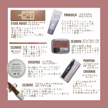 ノーセバム ブラーパウダー/innisfree/ルースパウダーを使ったクチコミ（2枚目）