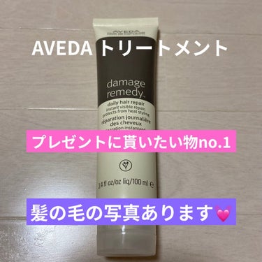 ダメージレメディーシリーズ デイリーリペア/AVEDA/ヘアミルクを使ったクチコミ（1枚目）