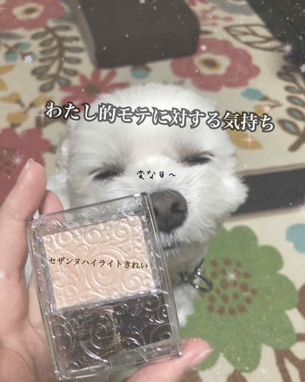 パールグロウハイライト/CEZANNE/パウダーハイライトを使ったクチコミ(1枚目)