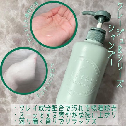 シャンプー/トリートメントR /CLAYGE/シャンプー・コンディショナーを使ったクチコミ(2枚目)