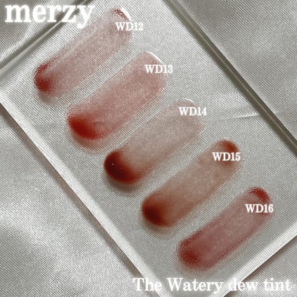 ザ ウォータリー デュー ティント シーズン3/MERZY/リップティントを使ったクチコミ(6枚目)