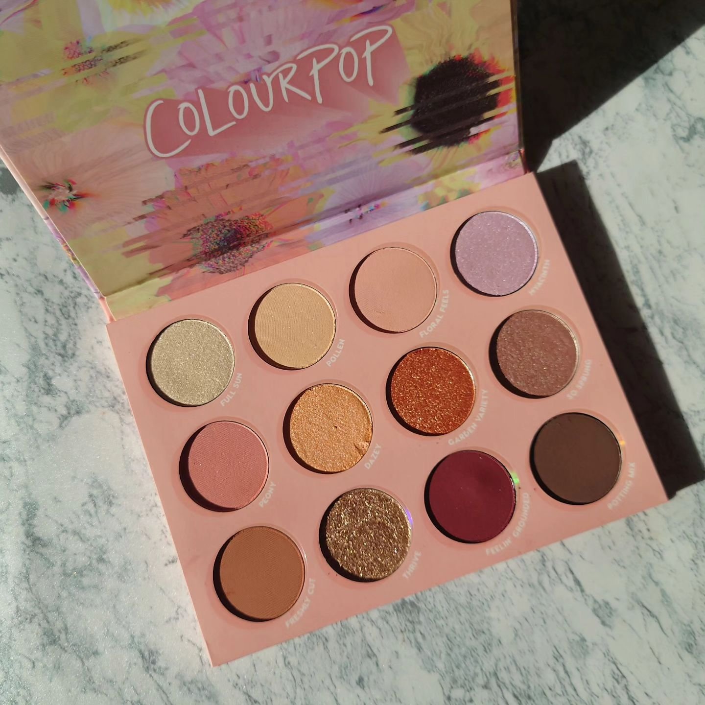 HEAVY PETAL/ColourPop/アイシャドウパレットを使ったクチコミ（3枚目）