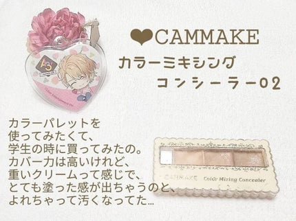 カラーミキシングコンシーラー/キャンメイク/パレットコンシーラーを使ったクチコミ(1枚目)