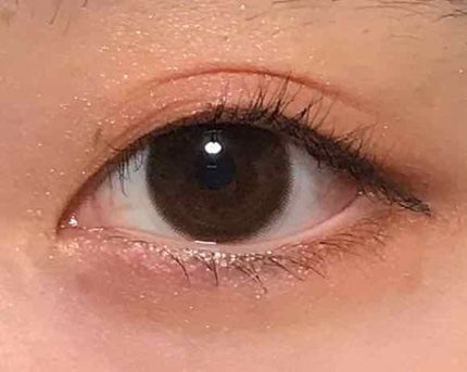 ピカシュウ アイ パレット‐サンダーショック/shu uemura/アイシャドウパレットを使ったクチコミ(4枚目)