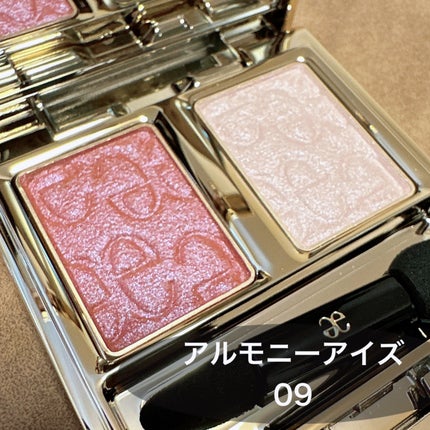 エレガンス アルモニーアイズ 10/Elégance/アイシャドウパレットを使ったクチコミ(2枚目)