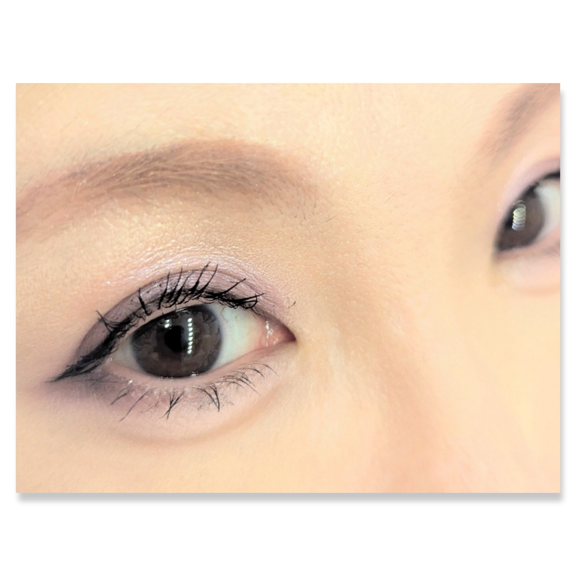 アイカラー 03 パープル系/media luxe/アイシャドウパレットを使ったクチコミ（2枚目）