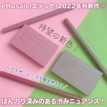 アイエディション(カラーパレット)/ettusais/アイシャドウパレットを使ったクチコミ（2枚目）