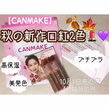 【CANMAKE】10月1日発売の口紅♡♡

〈メルティールミナスルージュ〉(税抜800円)
・キャラメルテラコッタ #04
・ストロベリーモカ          #05

今回はなんと！！
リップスさ