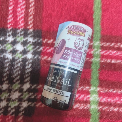 #マグネットネイルのネイルデザイン