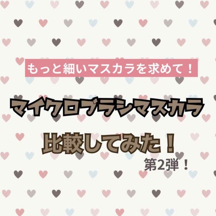 スキニーマスカラ/パルガントン/マスカラを使ったクチコミ(1枚目)