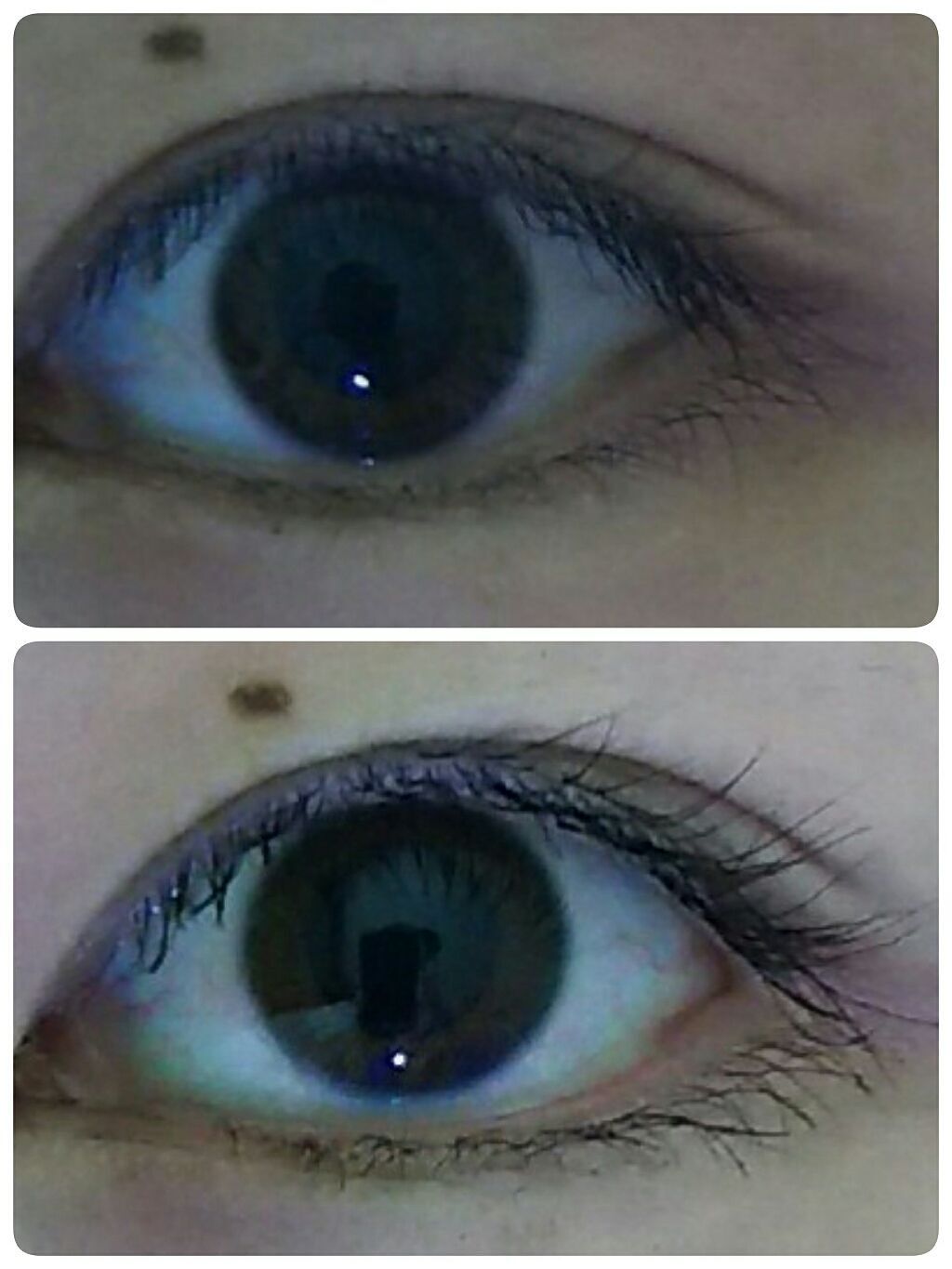 「塗るつけまつげ」ロングタイプ/デジャヴュ/マスカラを使ったクチコミ(4枚目)