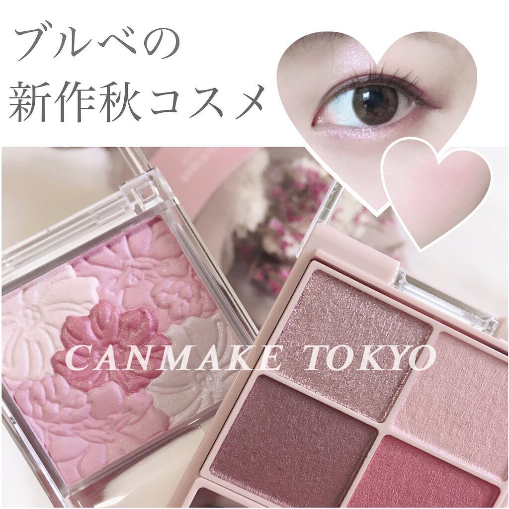 シルキースフレアイズ（マットタイプ）/キャンメイク/アイシャドウパレットを使ったクチコミ（1枚目）