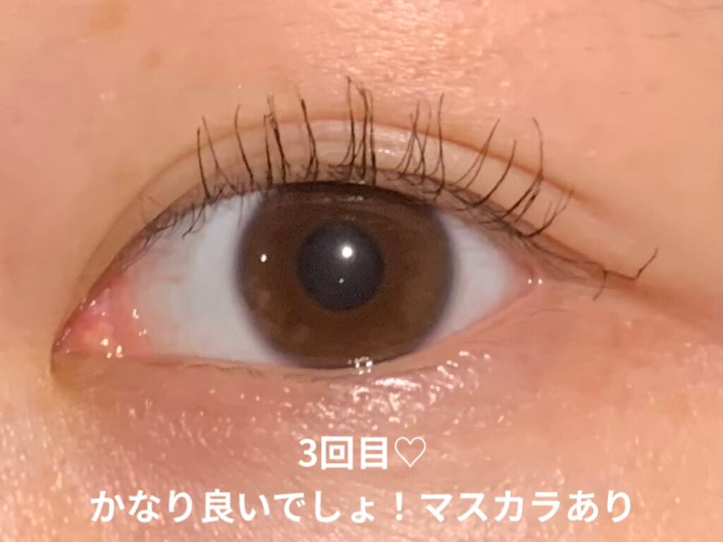 セルフまつ毛パーマキット/シルキーロールズ/その他キットセットを使ったクチコミ(8枚目)