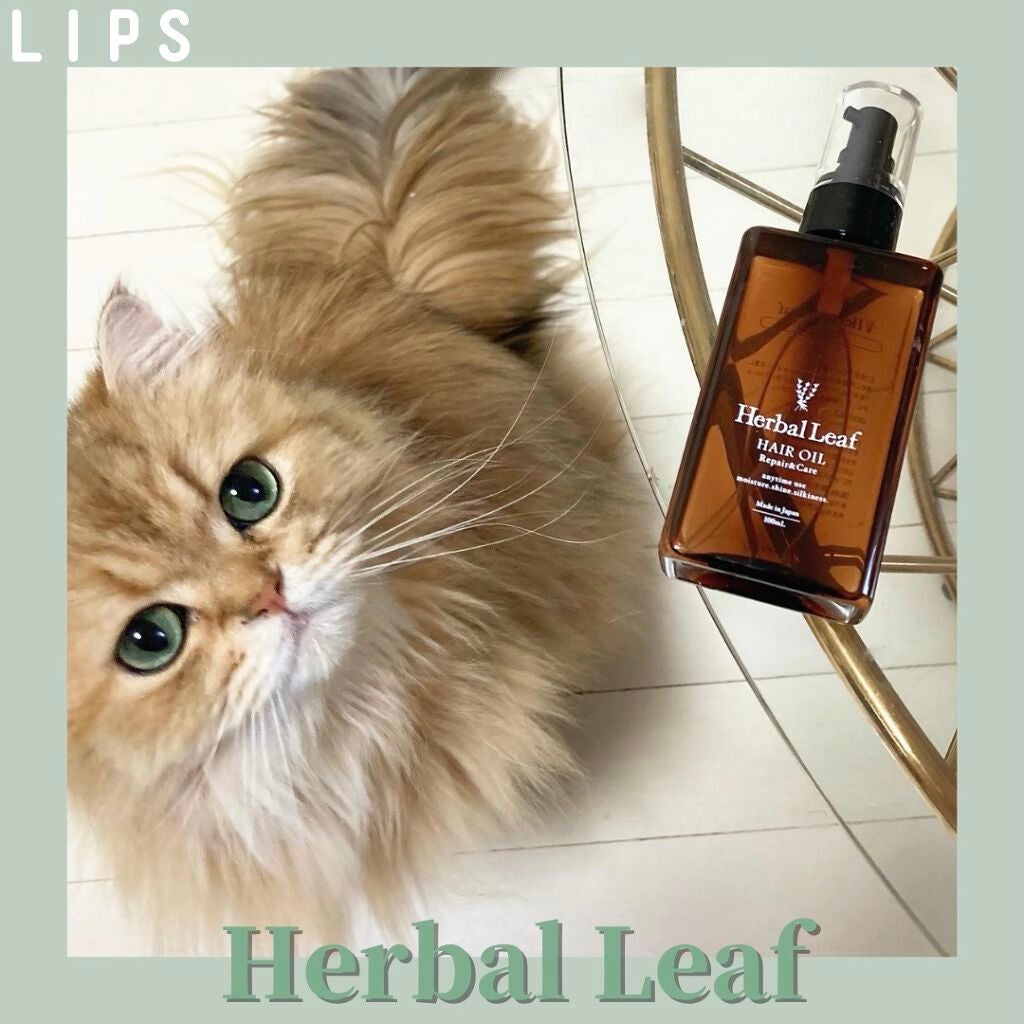 オーガニックヘアオイル フレッシュティーの香り/ハーバルリーフ/ヘアオイルを使ったクチコミ(1枚目)