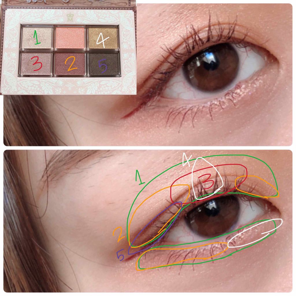 ナイストゥミーチュートランク/MAJOLICA MAJORCA/アイシャドウパレットを使ったクチコミ（3枚目）