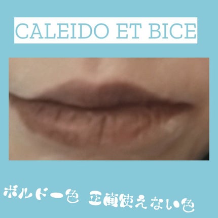 アメニータ シャープナーW/CALEIDO ET BICE/その他化粧小物を使ったクチコミ(4枚目)