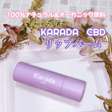 CBDリップバーム/KARADA CBD/リップケア・リップクリームを使ったクチコミ（1枚目）