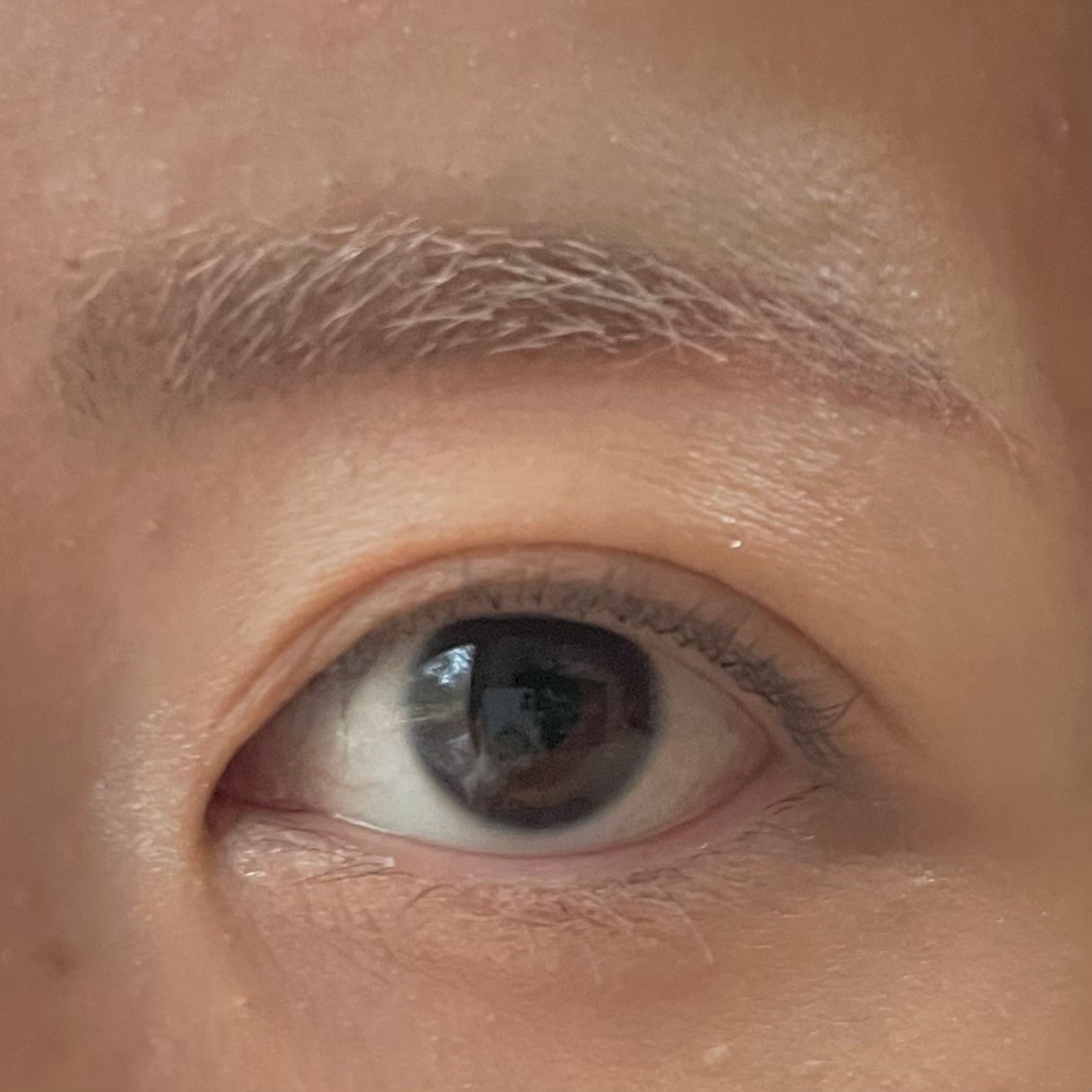 コンシーラーブロウマスカラ/キャンメイク/その他アイブロウを使ったクチコミ(3枚目)