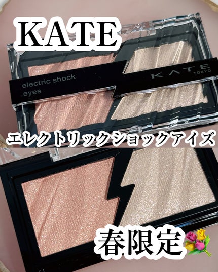エレクトリックショックアイズ /KATE/アイシャドウパレットを使ったクチコミ(1枚目)