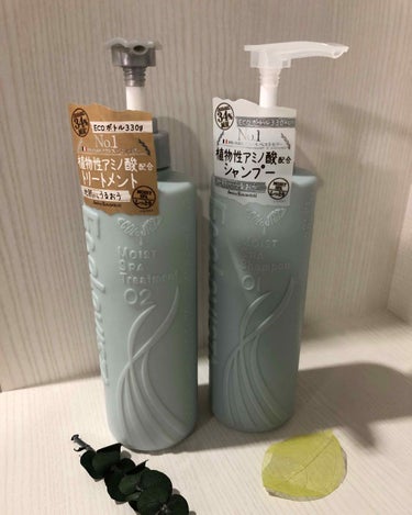 新品12本セット エコロヴィスタ モイストスパ シャンプー 500ml 1箱