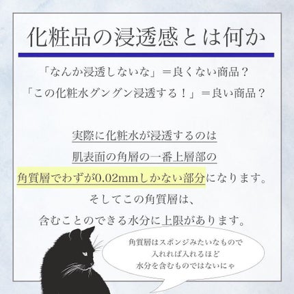凛 on LIPS 「【ブースターについてだよ】本日は導入液についてです。各社からい..」(4枚目)
