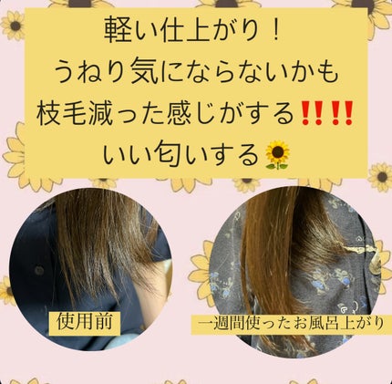 オイルインシャンプー/オイルインコンディショナー (グロス&リペア)/ディアボーテ/市販シャンプーを使ったクチコミ(2枚目)